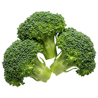 Broccoli Sprout Extract
