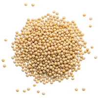 White Mustard Seed